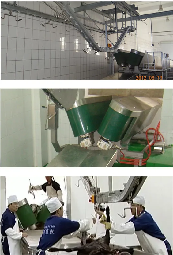 Automatic sheep slaughtering line with durable sheep deboning conveyor for sheep slaughterhouse