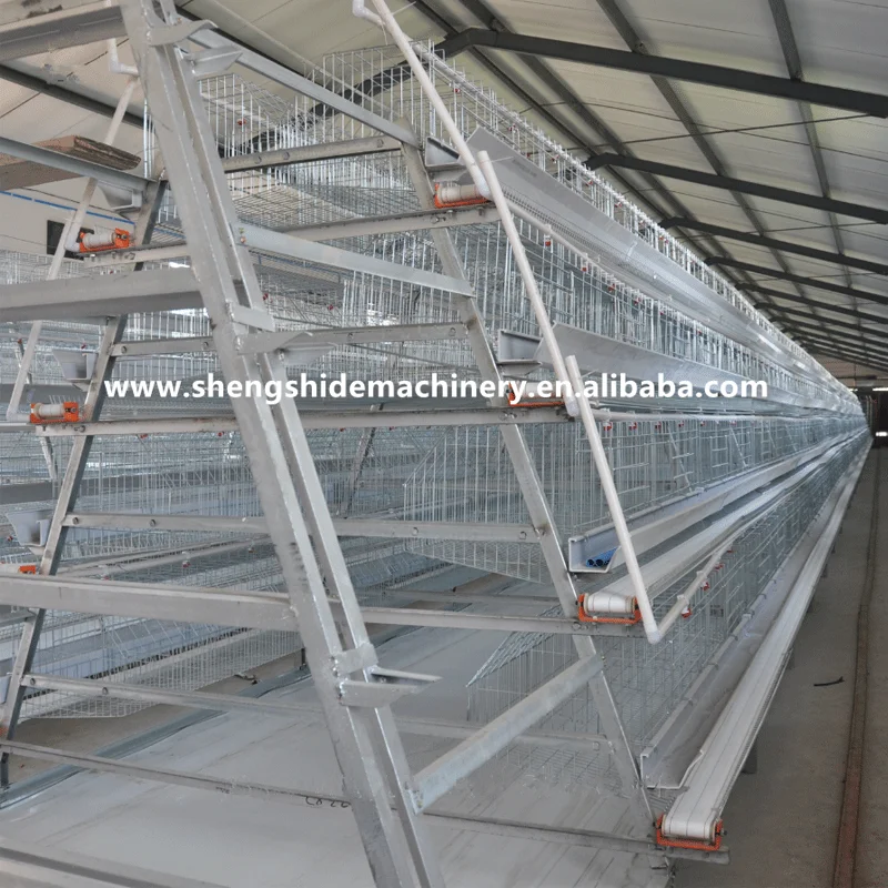 Fully Automatic a Frame Cheap Price Chicken Layer Cage Battery Cage Laying Hens