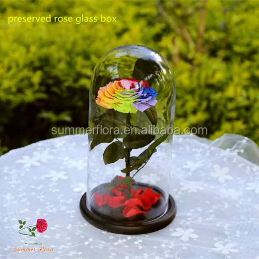 美しい花ガラスドーム保存された花は誕生日プレゼントのためにガラス管で上昇しました Buy プリザーブドフラワーでガラス ローズでガラス管 花ガラスドーム Product On Alibaba Com