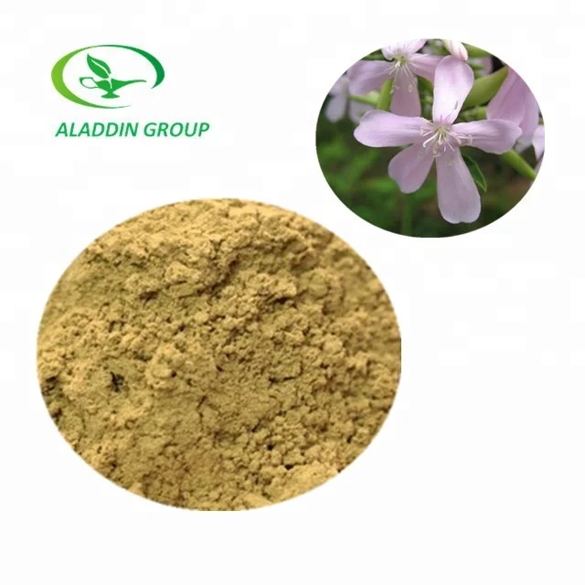 Halal High Quality Soapwort Extract Saponaria Officinalis L 10 1 100 Pure Natural Plant Extract Buy Halal Soapwort Extract Saponaria Officinalis Extract Soapwort Extract Product On Alibaba Com