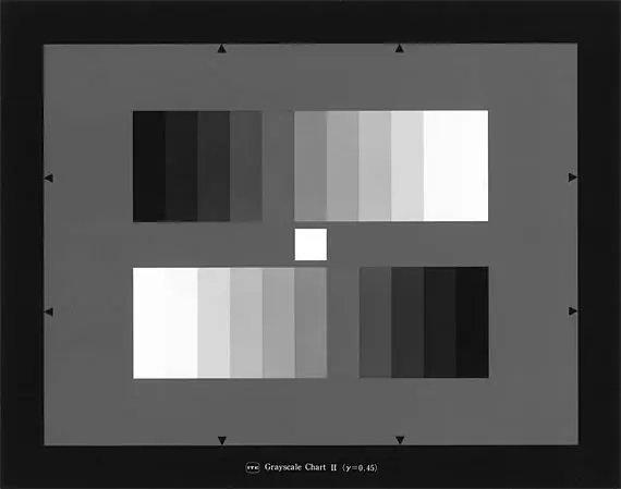 ITEグレースケールチャート/11パッチのグレーチャート (0.45)
