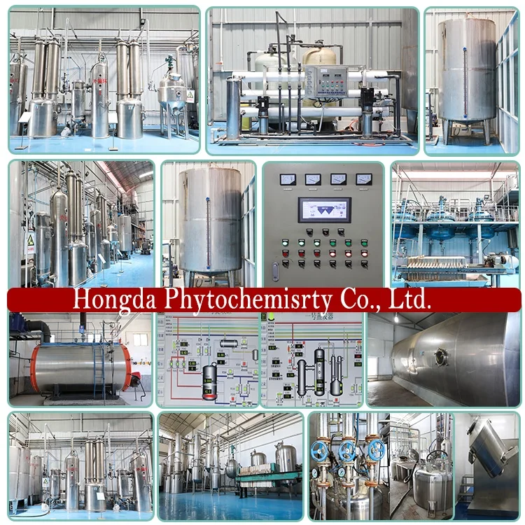 
Экстракт семян брокколи Hongda 0.4% 0.5% 1% сульфорафан 