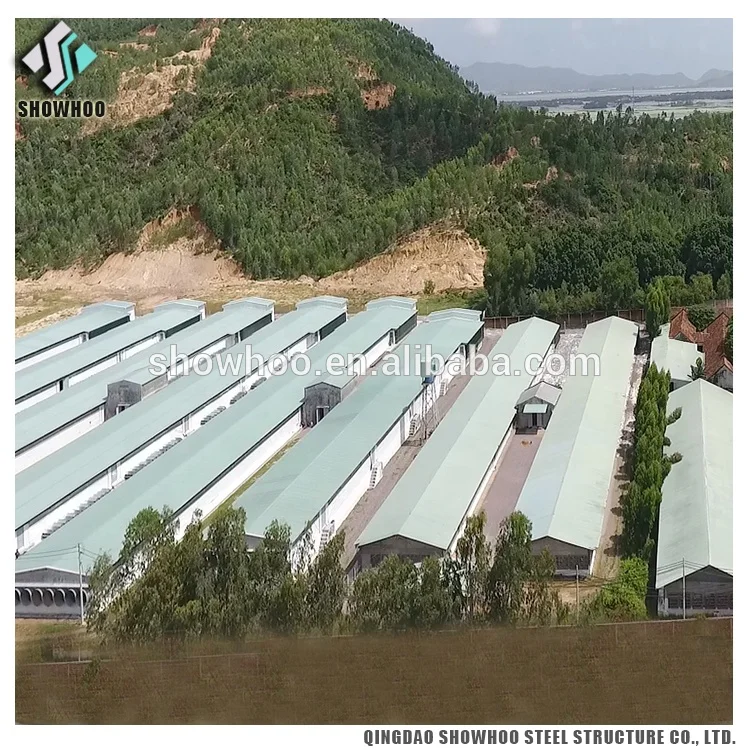 Low Cost Steel Structure Architectural Shed Design Poultry Farm House Construction