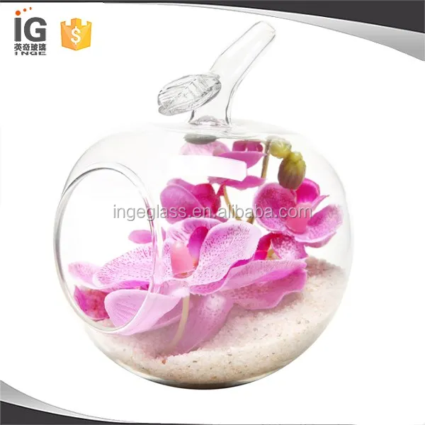 large glass apple terrarium