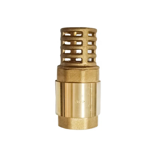 1/2inch to 2inch water vertical spring check valve with brass