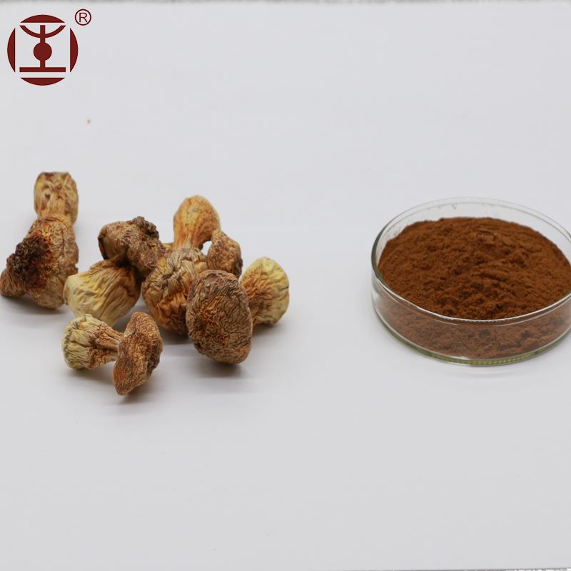 
Органический порошок Agaricus blazei (Бразильский гриб) для пищевых продуктов и лекарств 