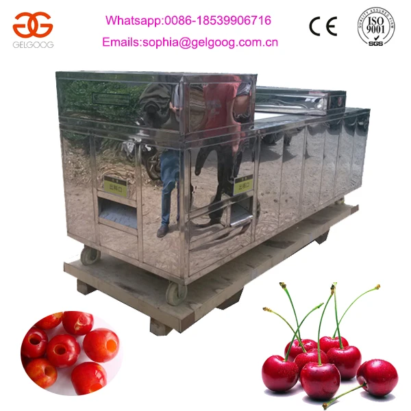 Cherry Stone Pit Remover Machine Chery Seed Removing Machine Buy Cherry Pit Remove Machine Cherry Seed Removing Machine Cherry Stone Removing Machine Product On Alibaba Com