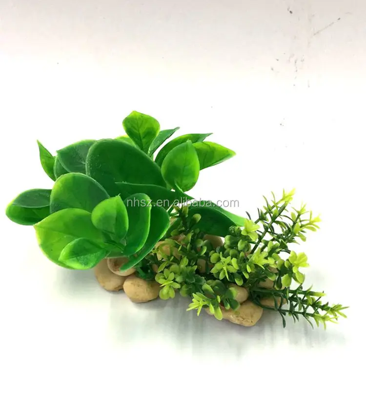 Simulation Aquatic Plants Name Aquarium Cleair Aquatic Aquarium Buy Aquatic Plants Name Cleair Aquatic Aquarium Fluval Product On Alibaba Com