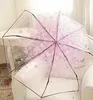 Pourpre