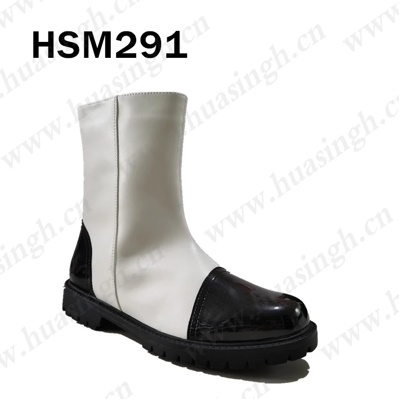 HSM291-1