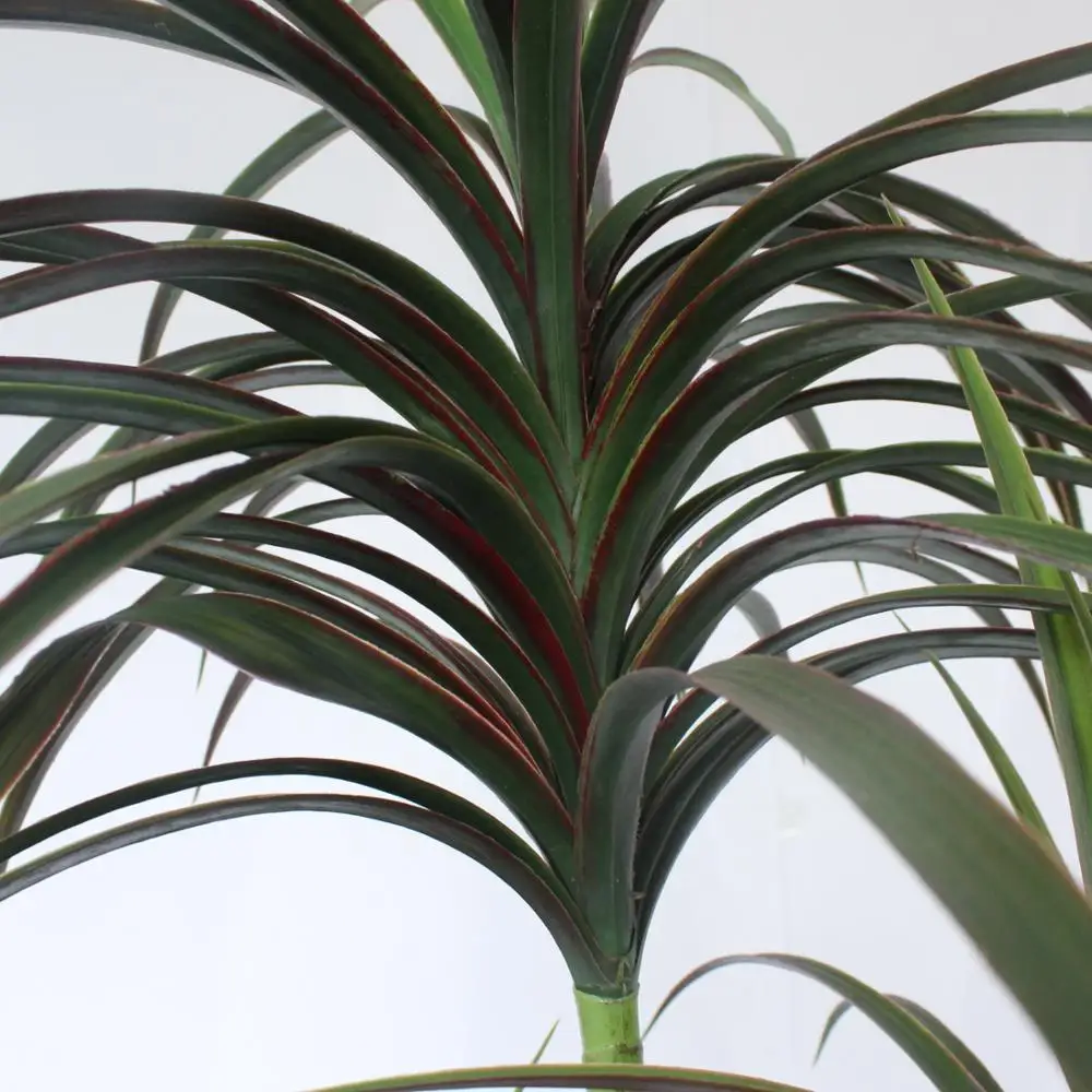 Item NO 5135 185CM Artificial Yucca Rostrata Tree Durable and Versatile Indoor/Outdoor Artificial Plant
