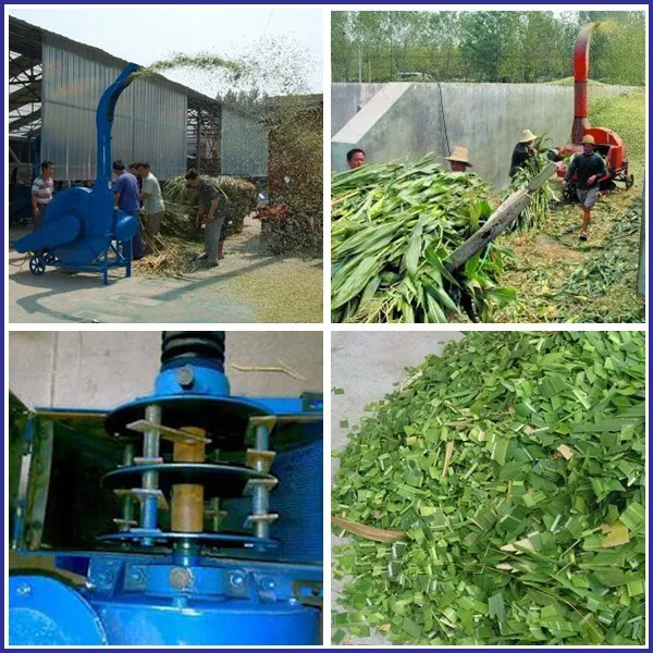Corn Silage Chaff Cutter Machine for Sale Farm Machinery