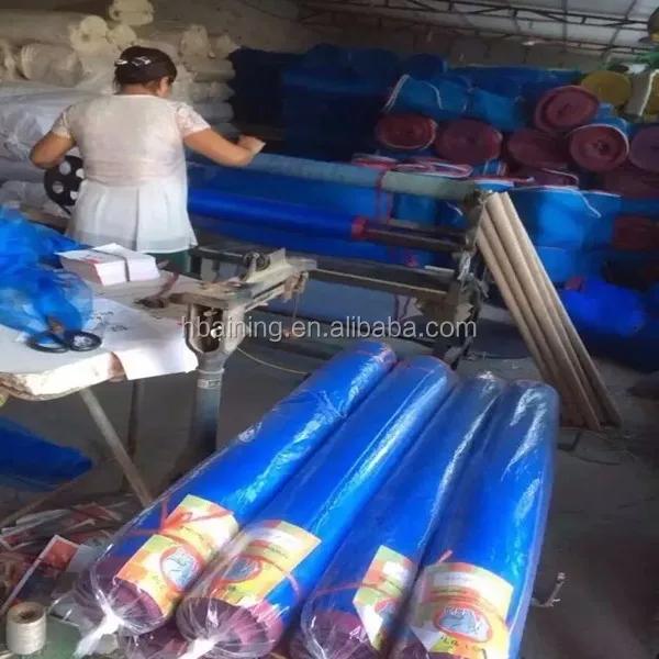 Snail Farming Fencing Mesh Scaffolding Netting for Construction Net Hebei