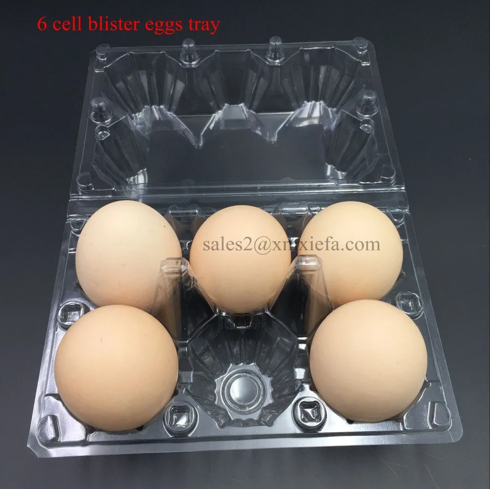 Half Dozen Plastic Egg Carton 6 Pack Egg Carton 6 Cell Clear Plastic