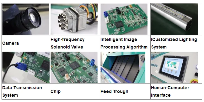 CCD Color Sorter With LED Lights