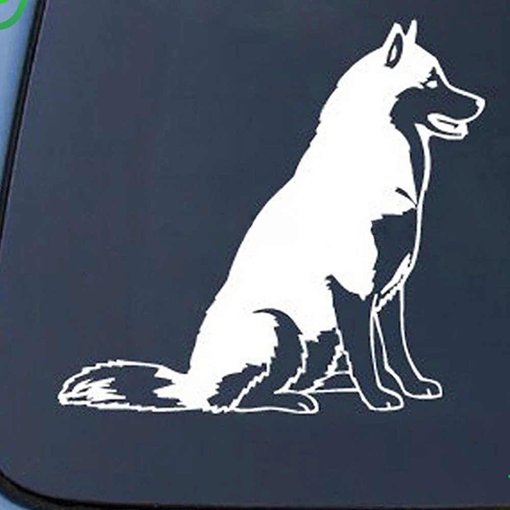 Прозрачная Автомобильная наклейка/прозрачная Автомобильная Этикетка/прозрачная Автомобильная наклейка