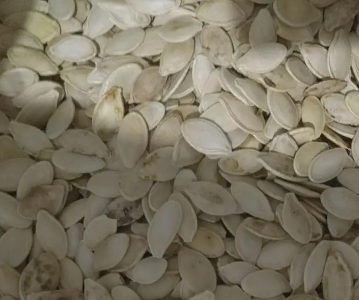 High Output Pumpkin Seeds Color Separating Machine for Sorting Pumpkin Seeds