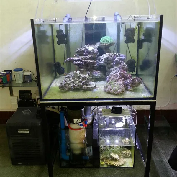 custom fish tank decorations