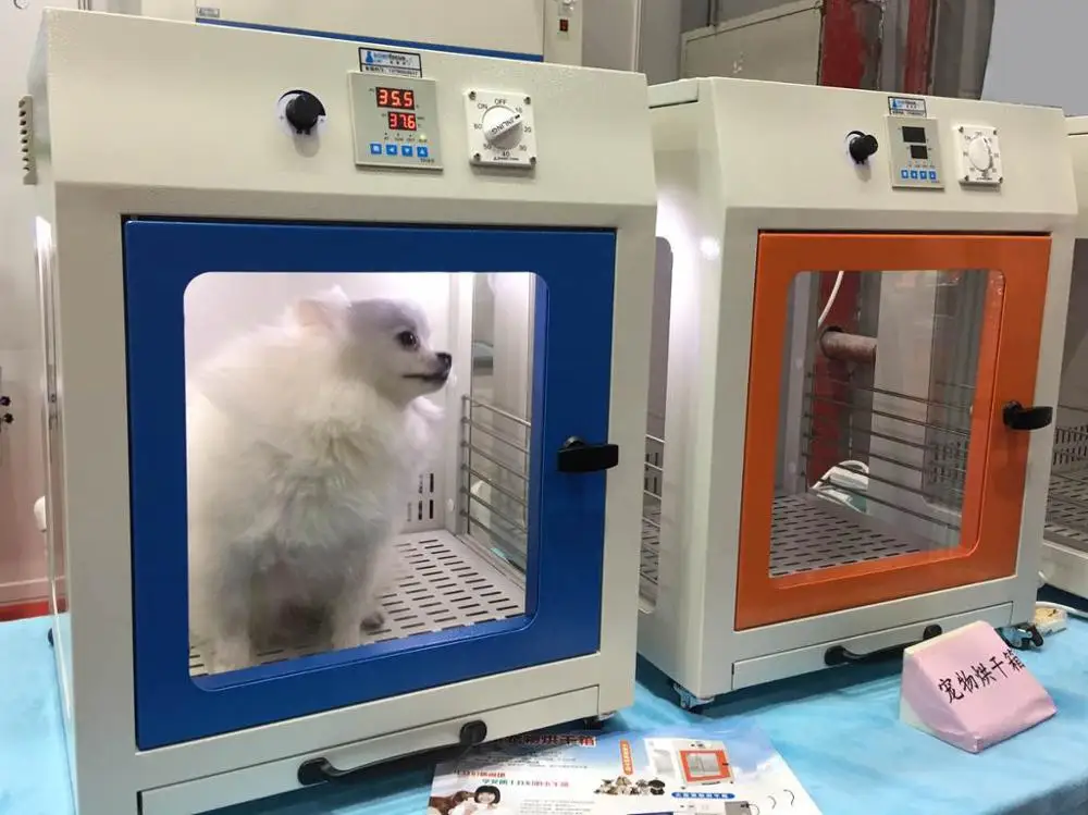 pet dryer machine