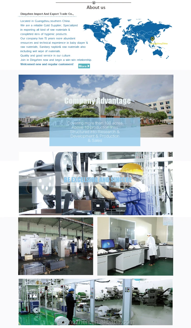Dingzhen Company