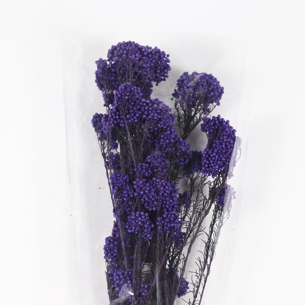 Source Factory Dried Rice Flowers for Home Decoration Dried Flowers Grass Decor Millet Flowers