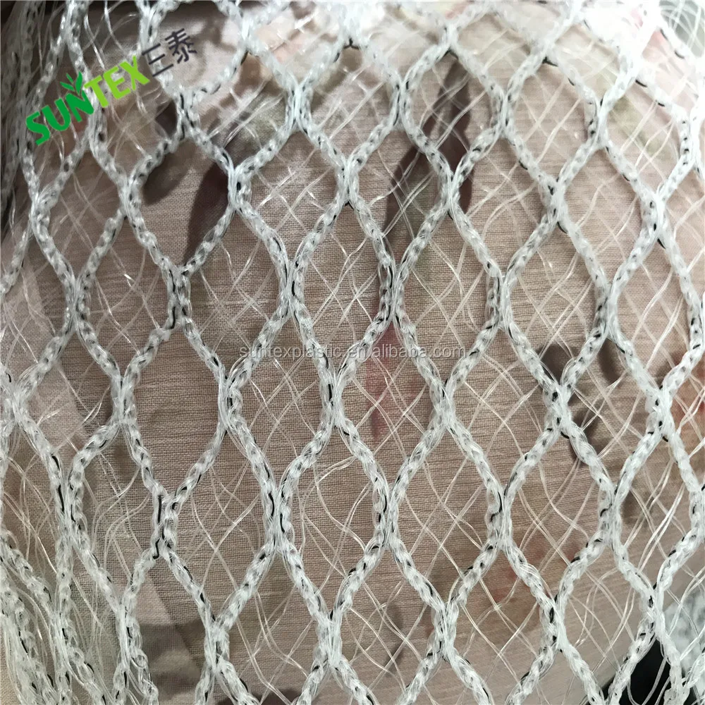 Anti Bird Netting for Grapes Farming Anti Hail Net with High Light Transparent Rate