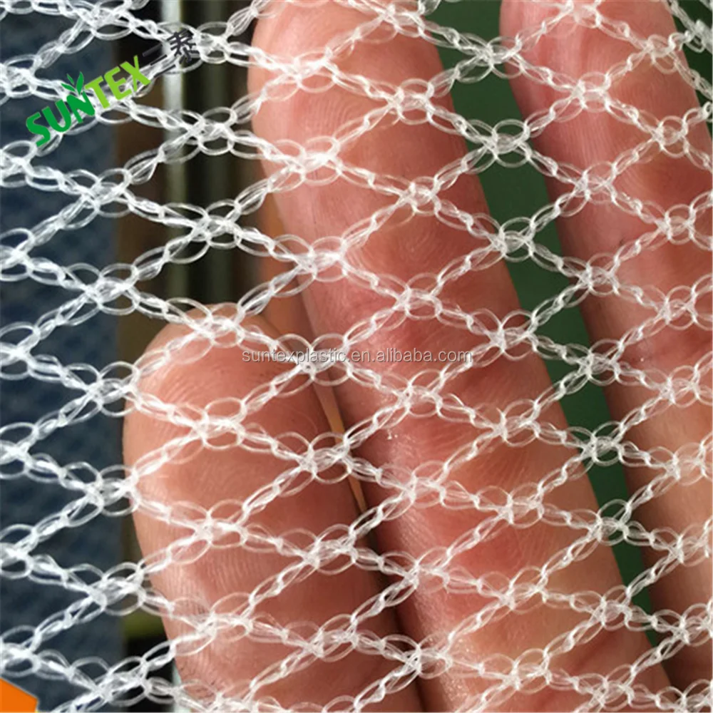 Anti Bird Netting for Grapes Farming Anti Hail Net with High Light Transparent Rate