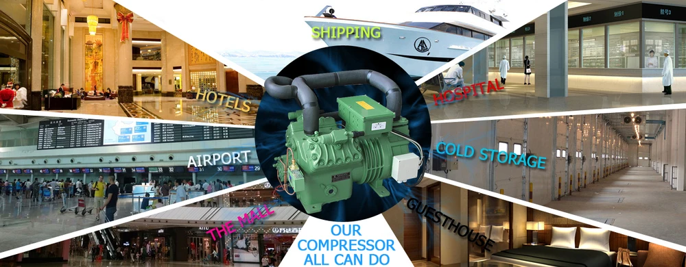 Rotary Compressor, R22, Hermetic, BSA460CV, BSA645DT-R1EN - detail 10