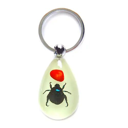 Real Red Leg Scarab Beetle Insect Bugs Resin Specimen Waterdrop Keychain Various Choice Premium Gift