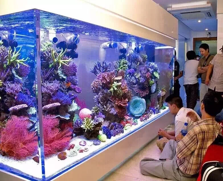 Acrylic cheap aquarium price