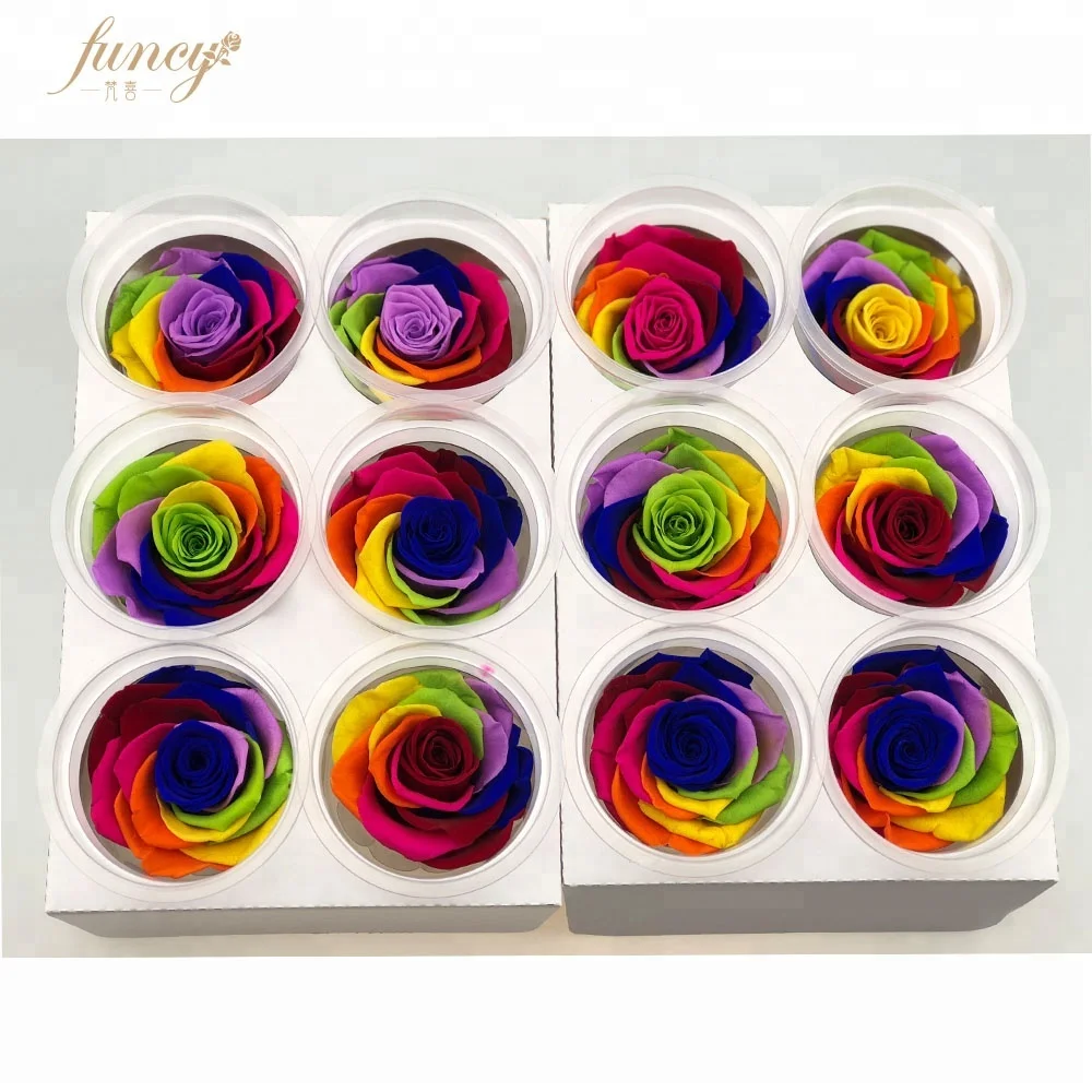 rainbow rose head flower forever stabilized preserved rainbow