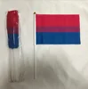 bisexual