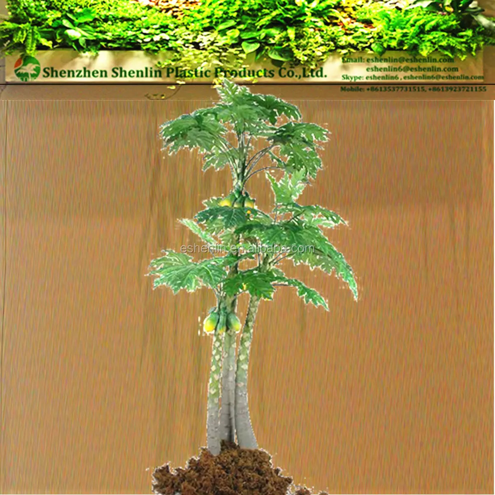 Papaya Artificiel Grande Taille Cm Arbre Decoratif Pour L Exterieur Avec Pattes Buy Artificielle Papaye Grand Arbre Artificiel Papaye Arbre Product On Alibaba Com