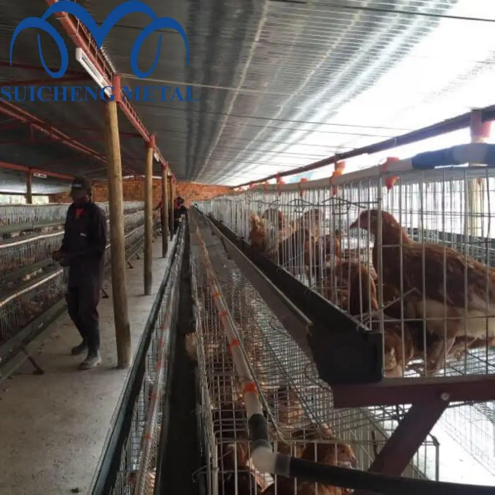 Factory Chicken Cages Layer 128 Poultry Farming Chicken Cage for Tanzania