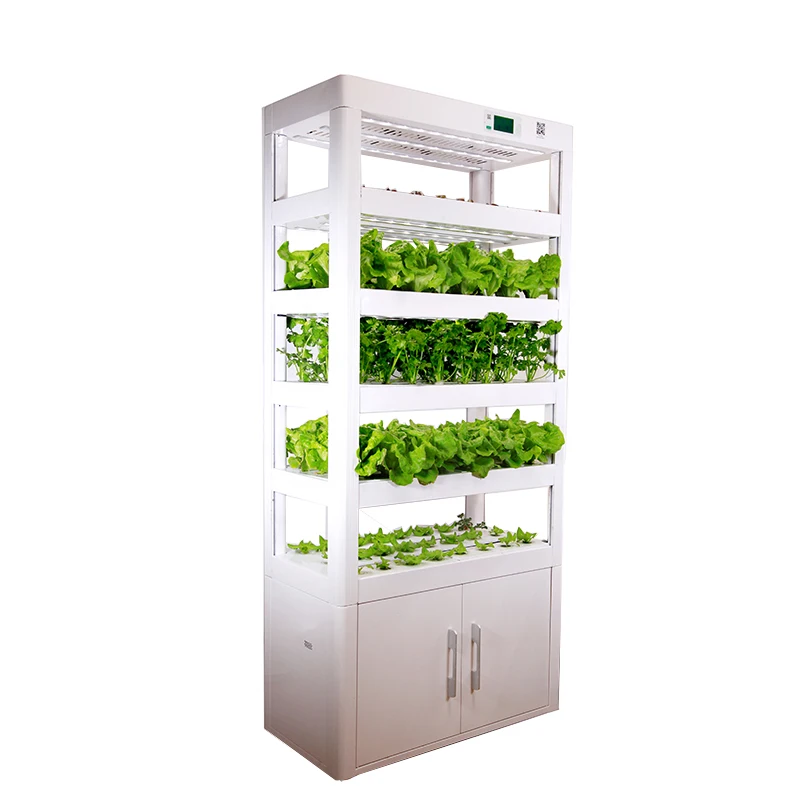Growing An Indoor Garden With Hydroponic Grow Chamber Buy Hydroponic