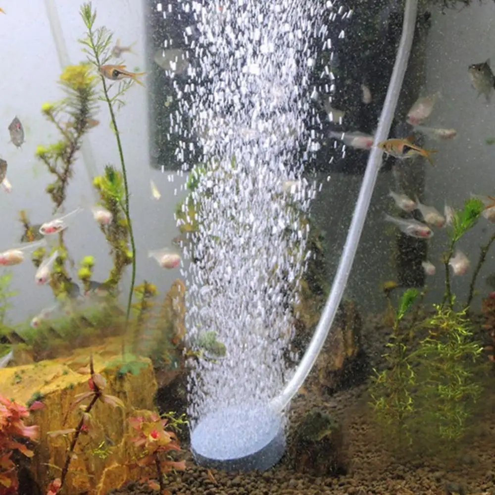 Aquarium aerator discount