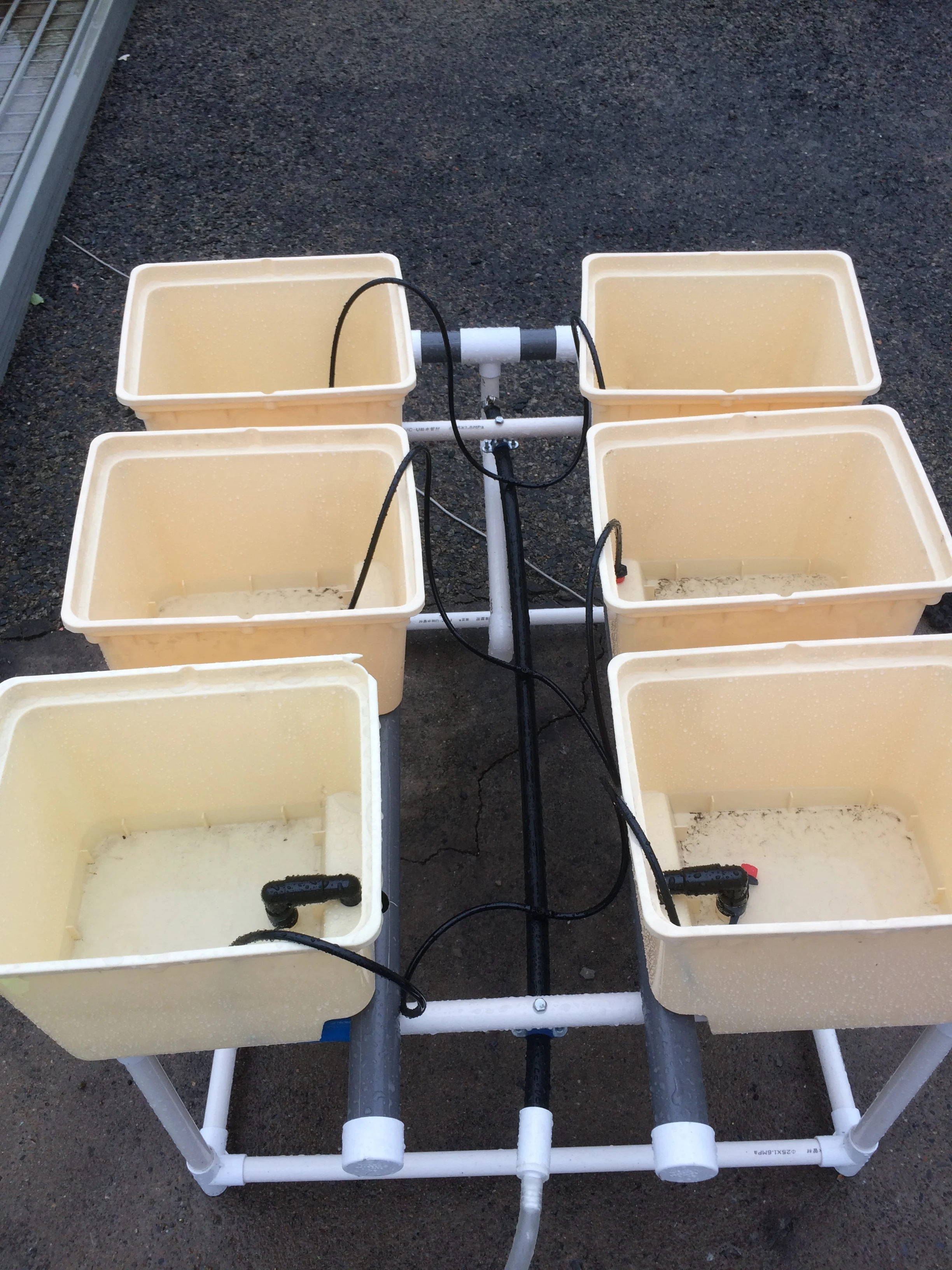 Complete Hydroponic Dutch Bucket System for Growing Vegetable in Greenhouse  Aquaponics Growing Systems