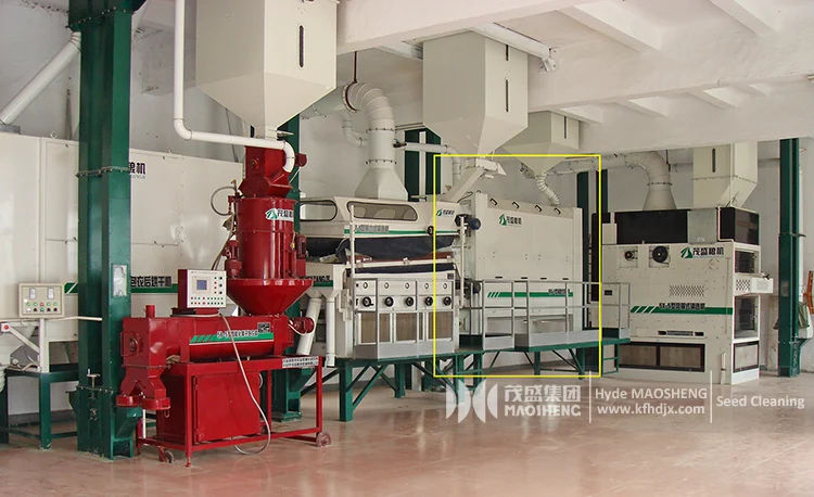 lenth grader plant (2)