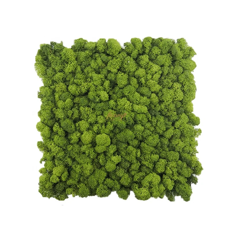 Декор внутренний дизайн олень стабилизированный мох домашний