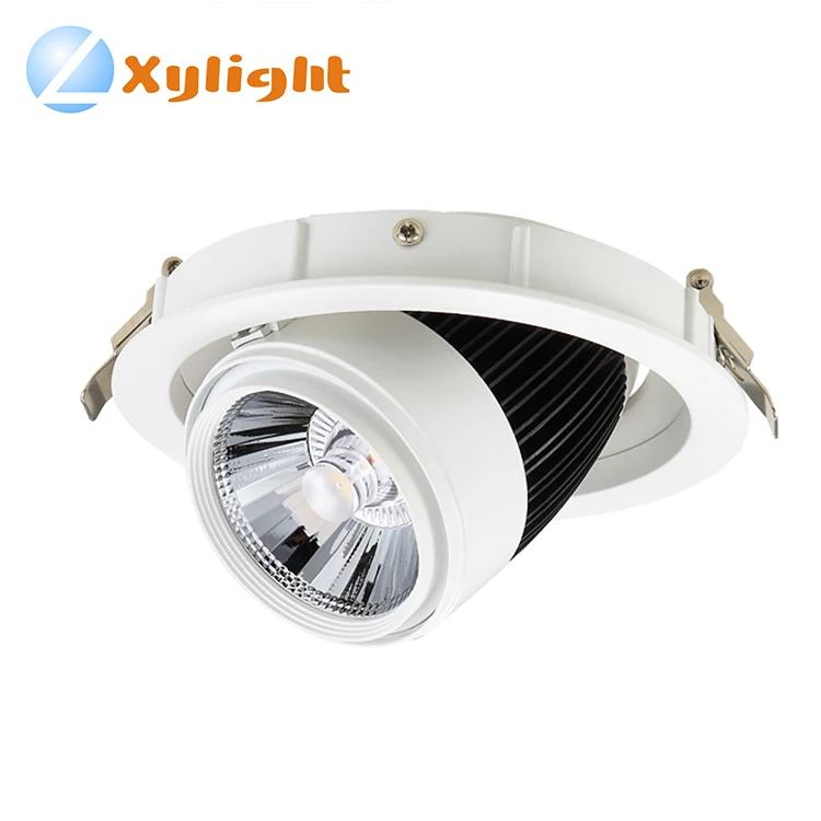 Sorotan,Lampu Cob,30 W Led Downlight 
