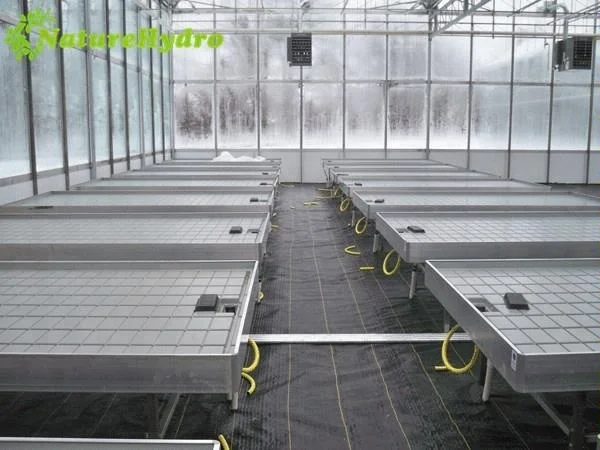 Agriculture Hydroponic Removable Seedbed Growing Tables for Commercial Plants