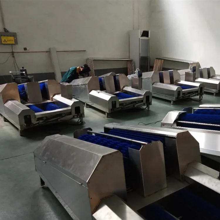 Automatic stainless steel boot washers for slaughterhouse hygiene