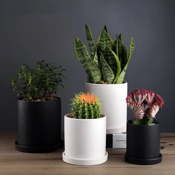 Nordic Modern Decorative Plant Pots Ceramic Cylinder Succulent Planter Plant Flower Pot with Tray Drainage Hole