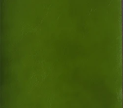 CY180 leather Upholstery Dining in wooden green for Restaurant
