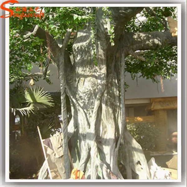 Welcomed by Foreign Large Live Ficus Tree Baobab Trees for Sale
