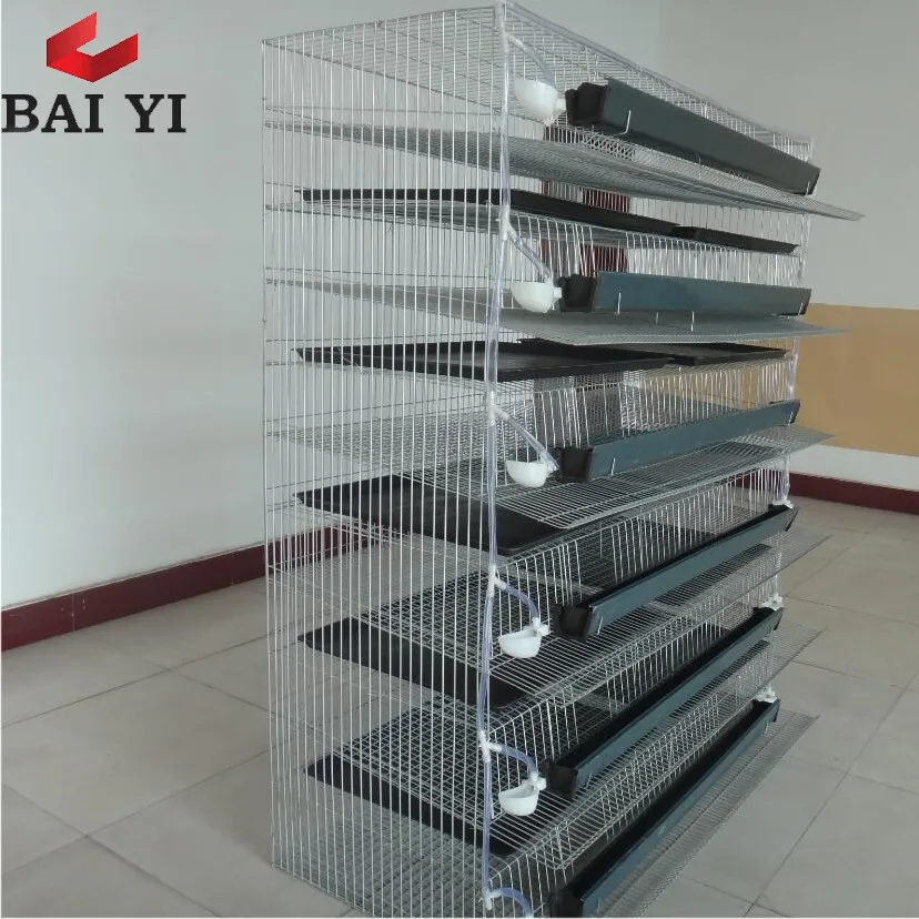 Quail Cage Size