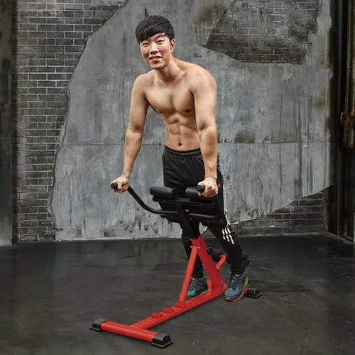 
 ZYFIT гиперудлинитель гиперудлинение спины упражнения Ab скамейка тренажерный зал брюшной Римский Стул  