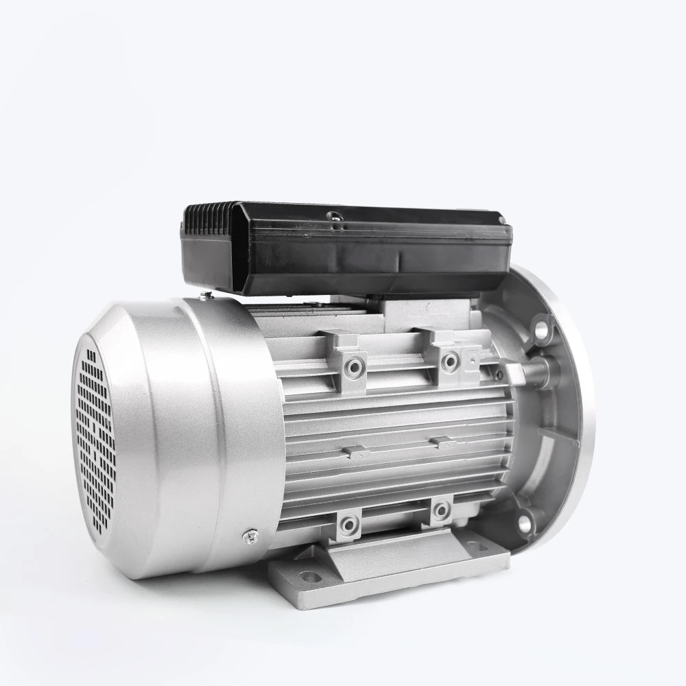 YL Series Single Phase 220v 300w 200w 200 Watt 1kw 1hp Capacitor Start Generator Electric Ac Motor
