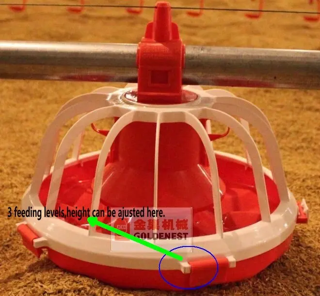 373025794_715.jpg