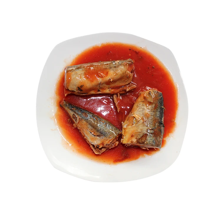 Chinese canned mackerel fish